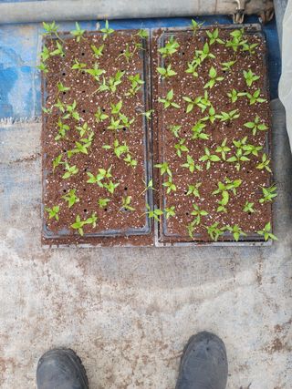 장효기님의 자유주제 · 자유게시판 작성글 사진