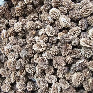 감자3154님의 자유주제 · 자유게시판 작성글 사진