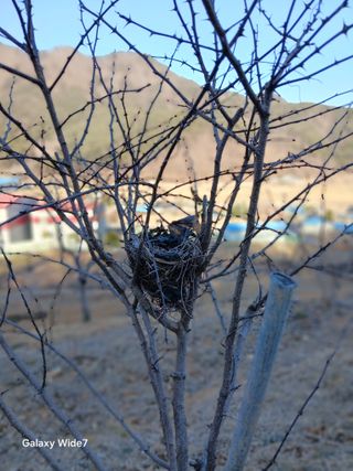 김명자님의 자유주제 · 자유게시판 작성글 사진