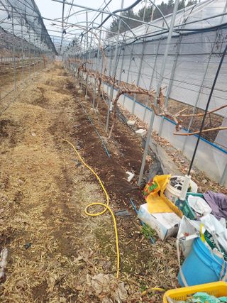 매실10696님의 자유주제 · 자유게시판 작성글 사진