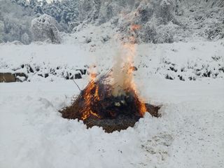관음손가네님의 자유주제 · 자유게시판 작성글 사진