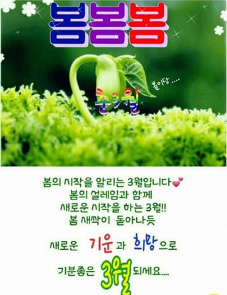 쨍하고해뜨는농원님의 자유주제 · 자유게시판 작성글 사진