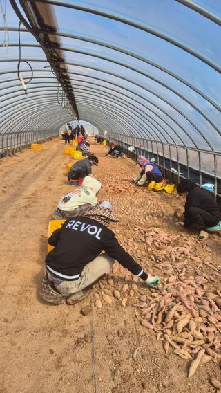 김동수님의 자유주제 · 자유게시판 작성글 사진