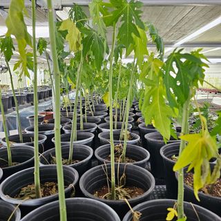 감자3154님의 자유주제 · 자유게시판 작성글 사진