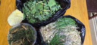 보민님의 작성글 사진