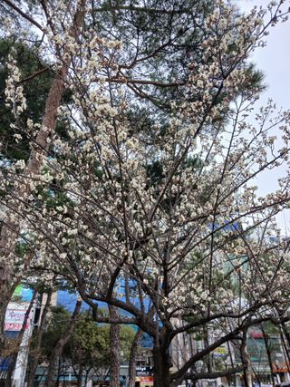 조정애님의 자유주제 · 자유게시판 작성글 사진