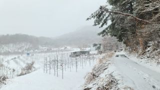 고동농장님의 자유주제 · 사진전 작성글 사진