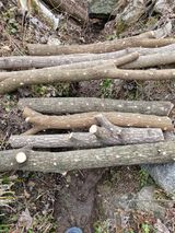 팜모닝 자유주제·자유게시판 게시글 이미지