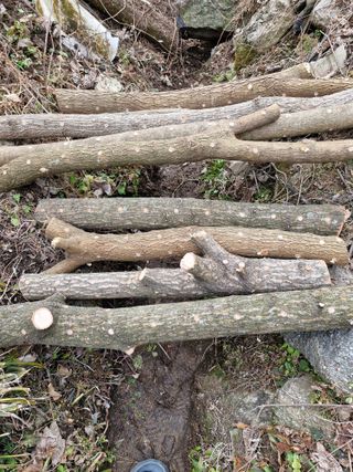 !정의규님의 자유주제 · 자유게시판 작성글 사진