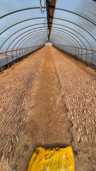 김동수님의 자유주제 · 자유게시판 작성글 사진