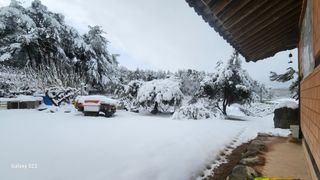 김준한님의 자유주제 · 자유게시판 작성글 사진