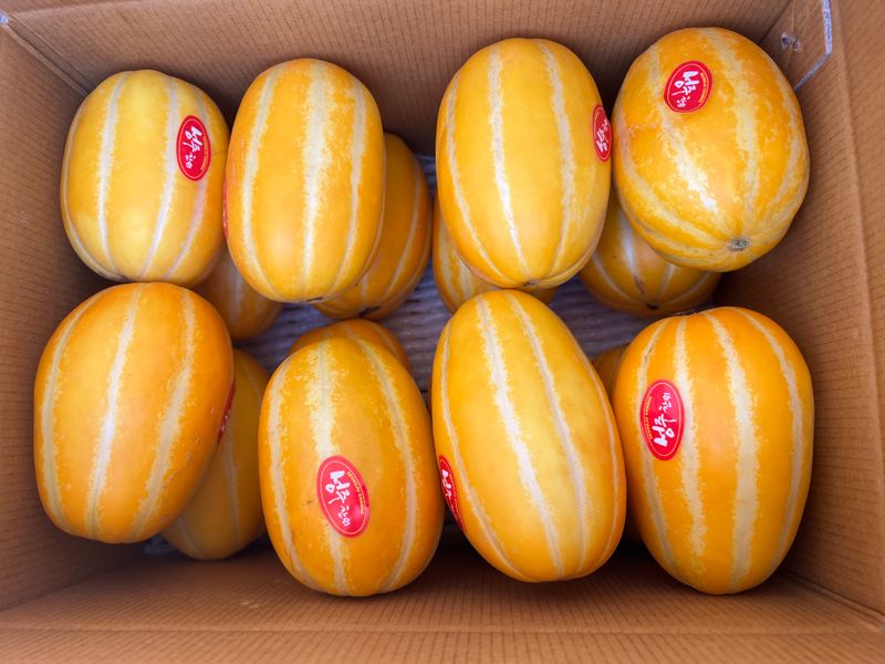 프룻하늬님의 장터 판매 상품 [초특가 성주참외 가정용/선물용] 첨부 사진