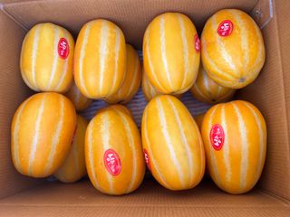 프룻하늬님의 작성글 사진