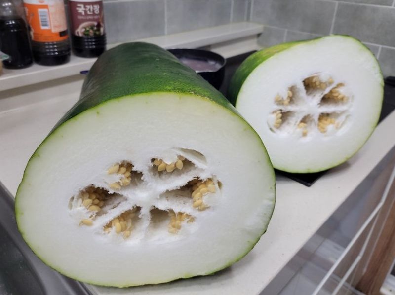 장터 상품 [동과 씨앗 ] 썸네일