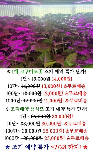 김동수님의 자유주제 · 자유게시판 작성글 사진