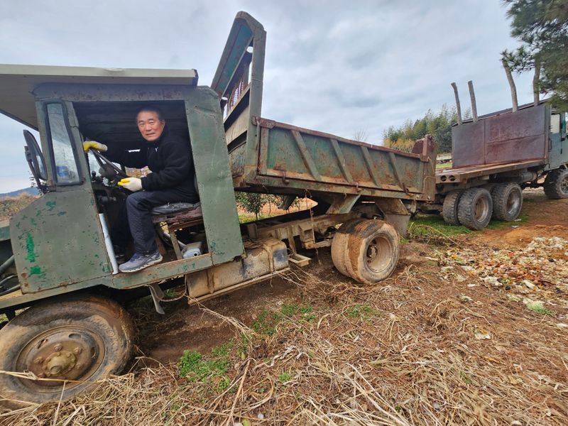 최도윤(중고농기계)님의 장터 판매 상품 [산판차량 (딸딸이)판매합니다  ] 첨부 사진