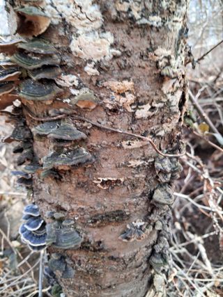 최한기님의 자유주제 · 자유게시판 작성글 사진