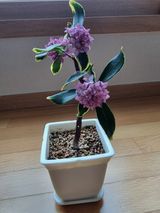 팜모닝 자유주제·자유게시판 게시글 이미지