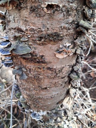 최한기님의 자유주제 · 자유게시판 작성글 사진