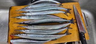 보민님의 작성글 사진