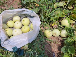 원빈님의 작성글 사진