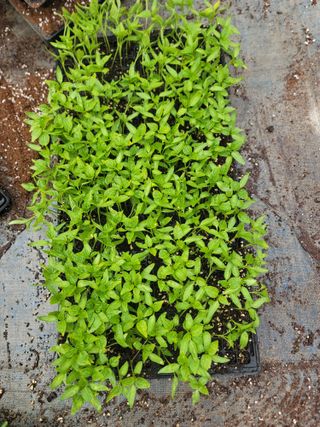 장효기님의 자유주제 · 자유게시판 작성글 사진