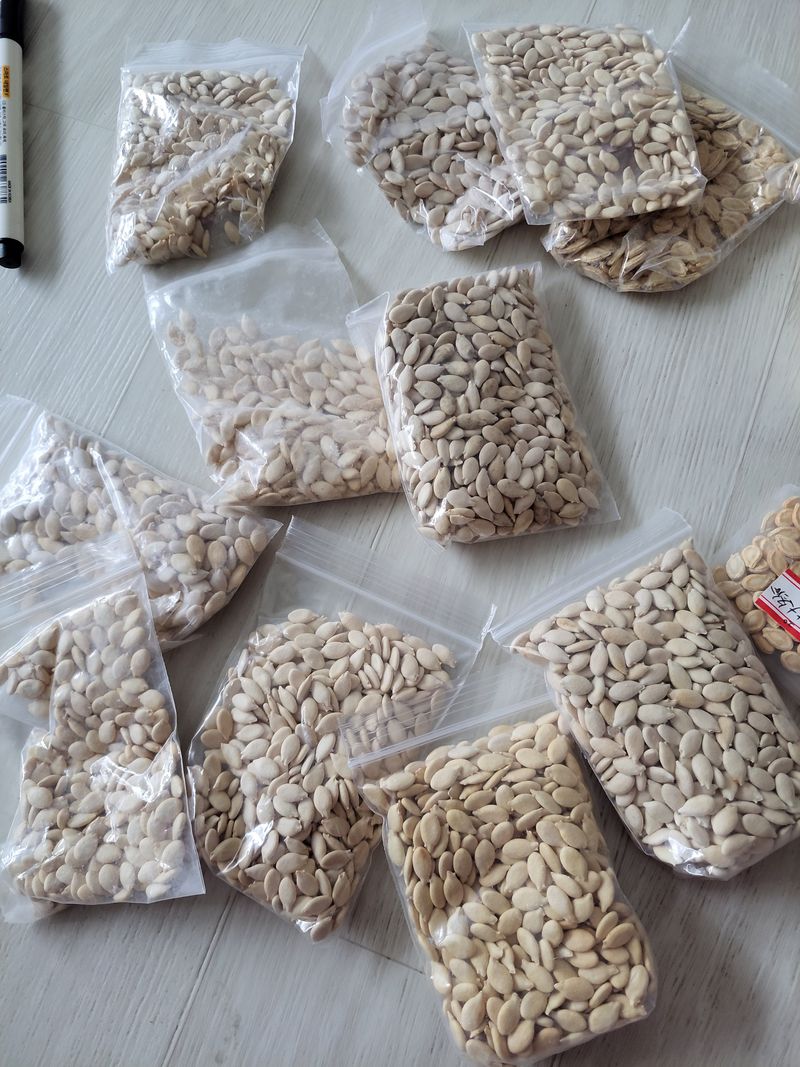 원빈님의 장터 판매 상품 [동과 씨앗 ] 첨부 사진