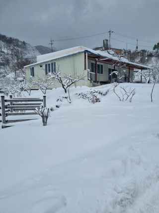 김용대님의 자유주제 · 자유게시판 작성글 사진