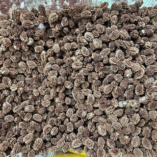 감자3154님의 자유주제 · 자유게시판 작성글 사진