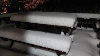 관음손가네님의 자유주제 · 자유게시판 작성글 사진