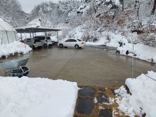 관음손가네님의 자유주제 · 자유게시판 작성글 사진