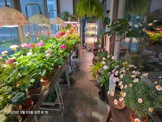 조용오님의 자유주제 · 자유게시판 작성글 사진