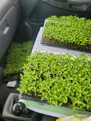 장효기님의 자유주제 · 자유게시판 작성글 사진