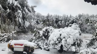 김준한님의 자유주제 · 자유게시판 작성글 사진