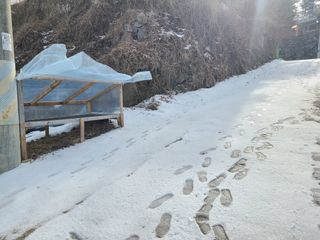 이박농장님의 자유주제 · 자유게시판 작성글 사진