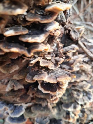 최한기님의 자유주제 · 자유게시판 작성글 사진