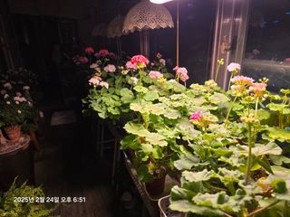 조용오님의 자유주제 · 자유게시판 작성글 사진