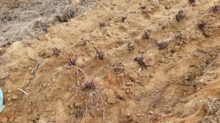 조미숙님의 3월 농사 계획 공유해요 · 참여글 작성글 사진