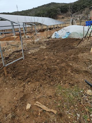 왜목 김진규님의 3월 농사 계획 공유해요 · 참여글 작성글 사진