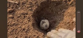 전정화님의 3월 농사 계획 공유해요 · 참여글 작성글 사진