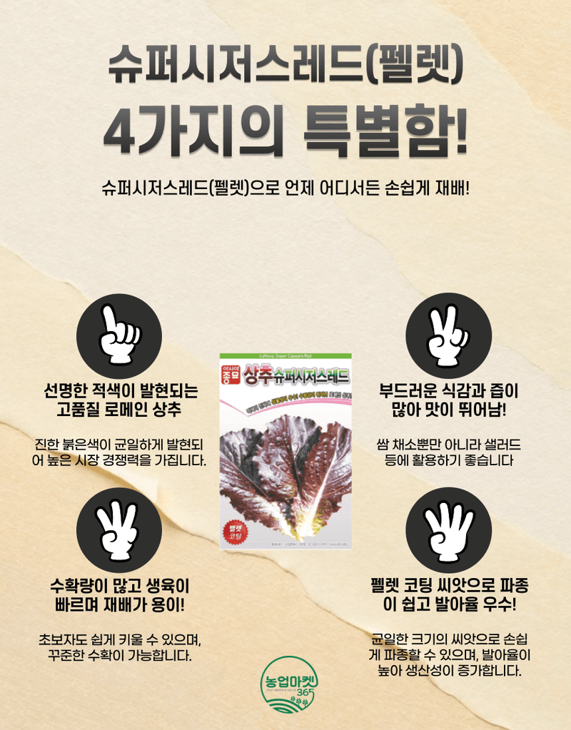농업마켓365님의 장터 판매 상품 [아시아종묘 상추 슈퍼시저스레드(펠렛) 300립 씨앗 종자 종묘 펠렛형태 로메인상추] 첨부 사진