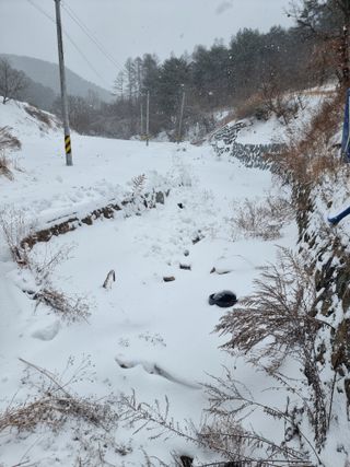 호랑이와인성이님의 3월 농사 계획 공유해요 · 참여글 작성글 사진