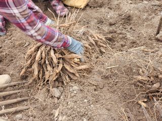 이창신님의 자유주제 · 자유게시판 작성글 사진