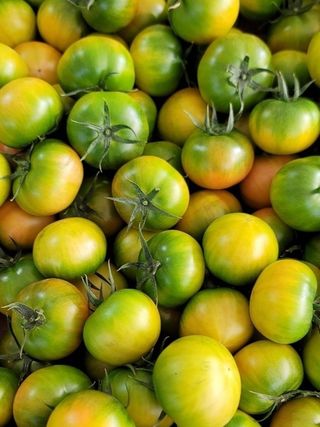 김지연님의 작성글 사진