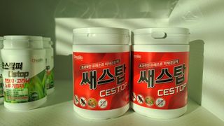 오호Ohoo님의 작성글 사진