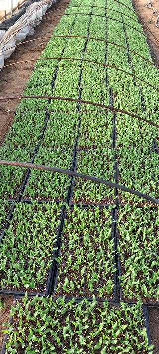 정선문님의 3월 농사 계획 공유해요 · 참여글 작성글 사진