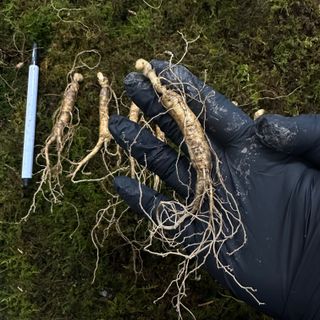 진상빈님의 작성글 사진