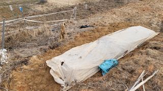 조미숙님의 3월 농사 계획 공유해요 · 참여글 작성글 사진