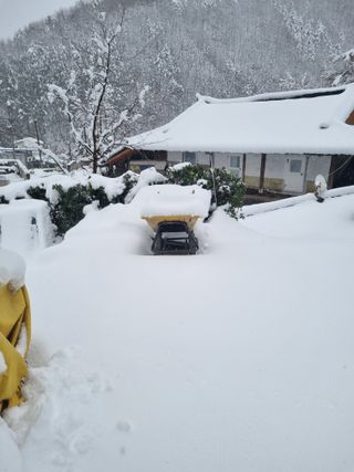 이상응님의 자유주제 · 자유게시판 작성글 사진
