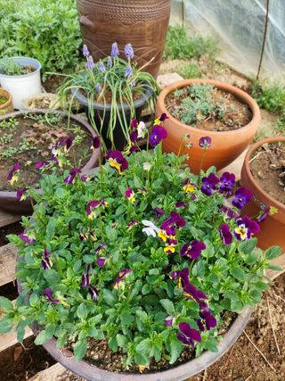 재연농장님의 자유주제 · 자유게시판 작성글 사진